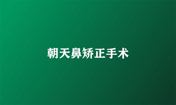 朝天鼻矫正手术