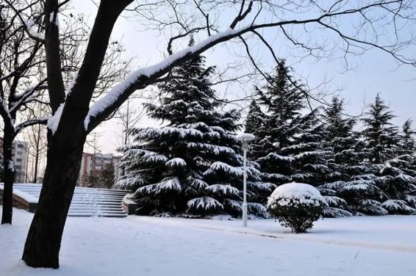 唐山学院怎么样