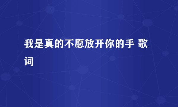 我是真的不愿放开你的手 歌词
