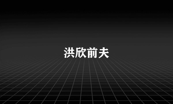 洪欣前夫
