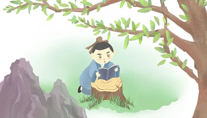 杨氏之子译文