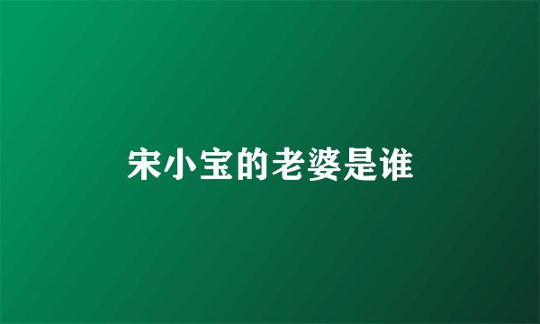 宋小宝的老婆是谁