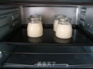 奶酪布丁