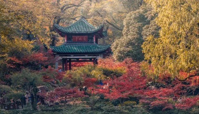 霜叶红于二月花是哪个季节 霜叶红于二月花是什么意思