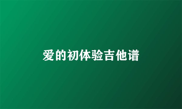 爱的初体验吉他谱