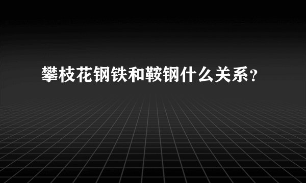 攀枝花钢铁和鞍钢什么关系？
