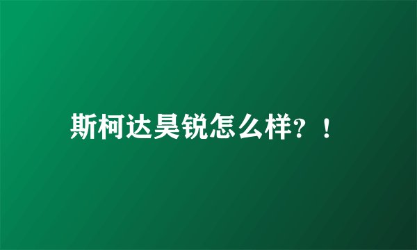 斯柯达昊锐怎么样？！