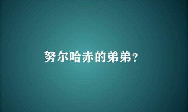 努尔哈赤的弟弟？