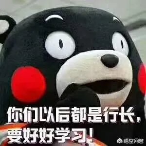 银行校园招聘,一般都有什么要求?