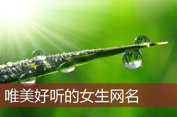 安静的网名