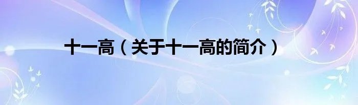 十一高(关于十一高的简介)