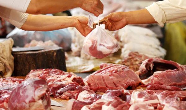 猪肉什么时候能降价