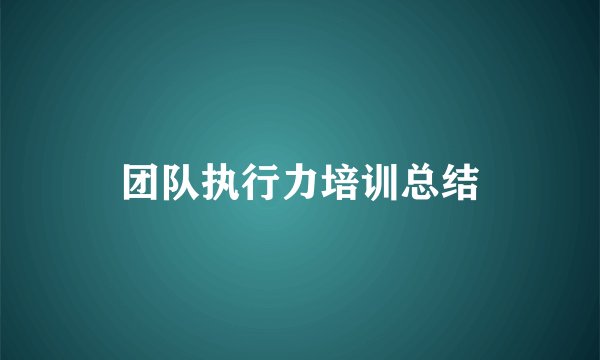 团队执行力培训总结