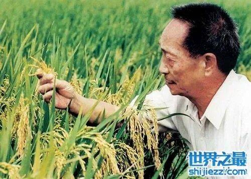 袁隆平身价多少亿?世界首富当之无愧!