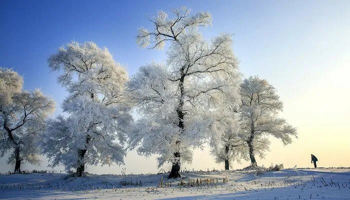 暴雪黄色预警是什么级别