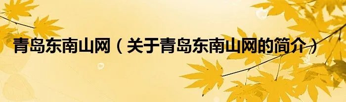 青岛东南山网（关于青岛东南山网的简介）
