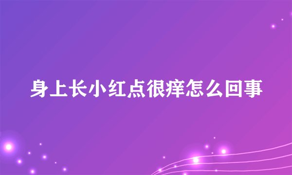 身上长小红点很痒怎么回事