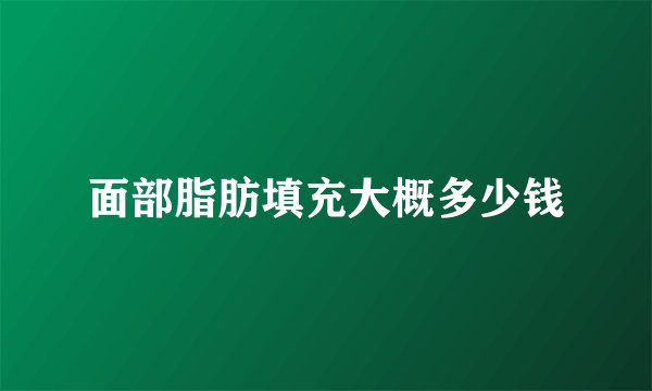 面部脂肪填充大概多少钱