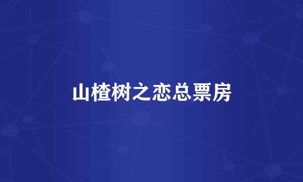 山楂树之恋总票房