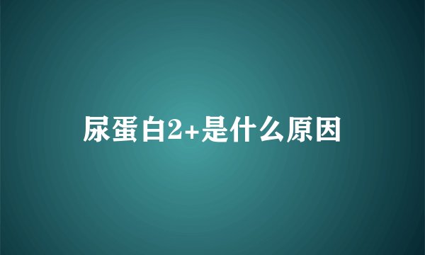 尿蛋白2+是什么原因