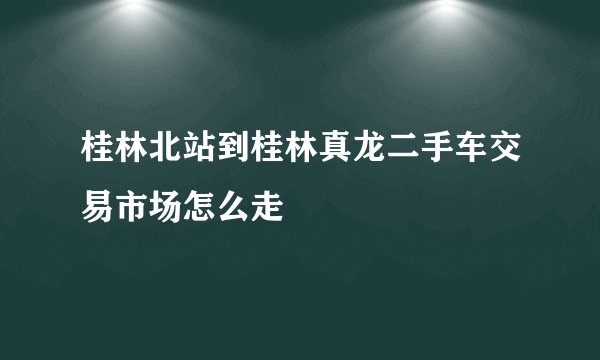 桂林北站到桂林真龙二手车交易市场怎么走