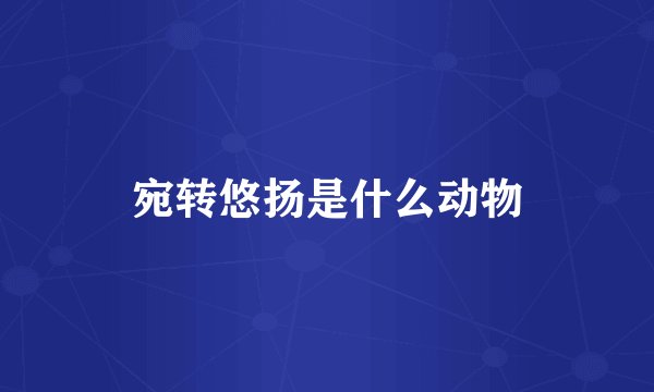 宛转悠扬是什么动物
