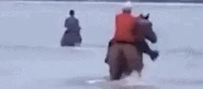 福建下海救人的第三匹马已痊愈，那它的主人怎么样了？