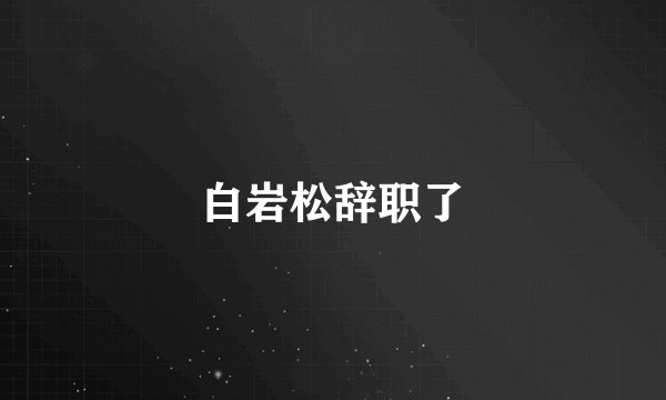 白岩松辞职了