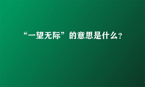 “一望无际”的意思是什么？