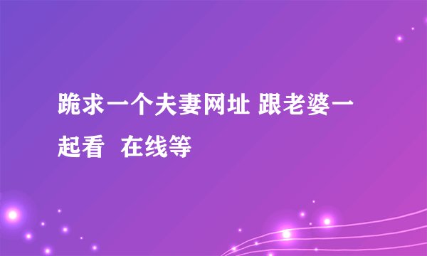 跪求一个夫妻网址 跟老婆一起看  在线等