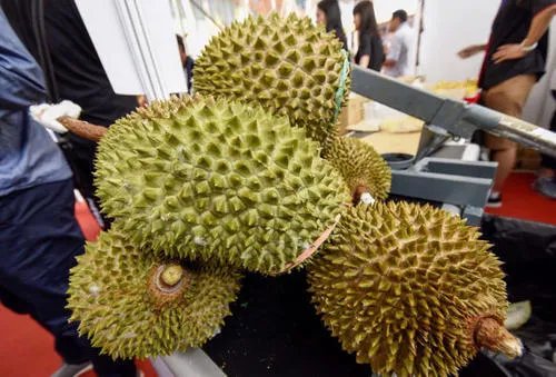 广西哄抢榴莲的村民食物中毒,这是谁的责任?