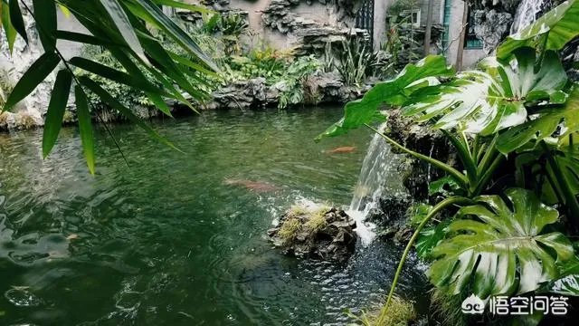 广东顺德清晖园好玩吗?