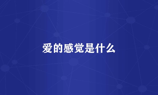 爱的感觉是什么