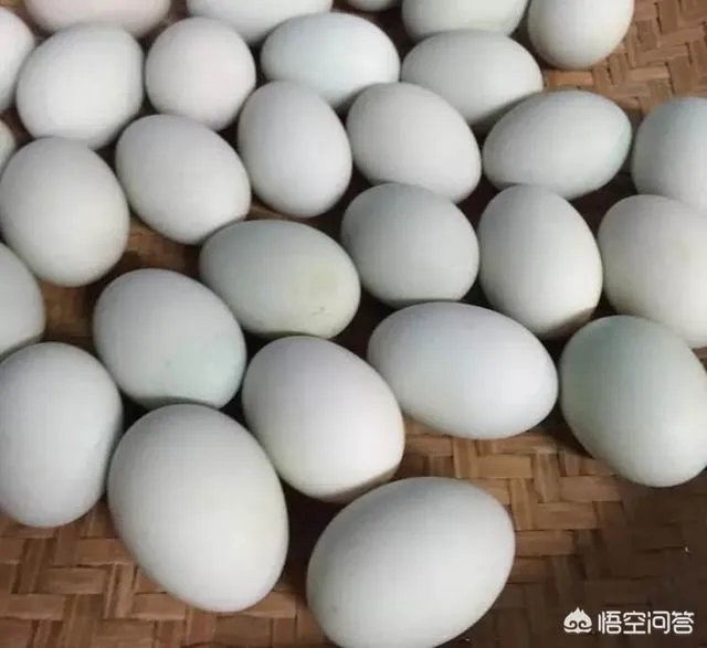 如何腌制咸鸭蛋?
