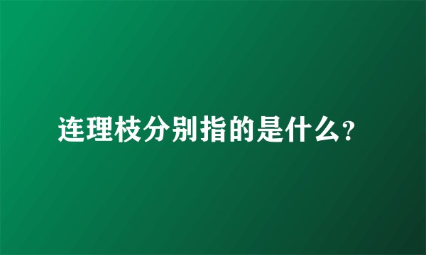 连理枝分别指的是什么？