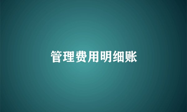 管理费用明细账