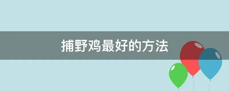 捕野鸡最好的方法