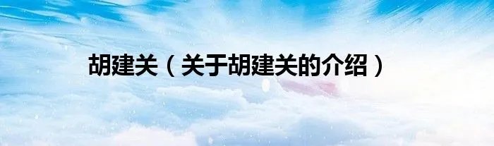 胡建关(关于胡建关的介绍)