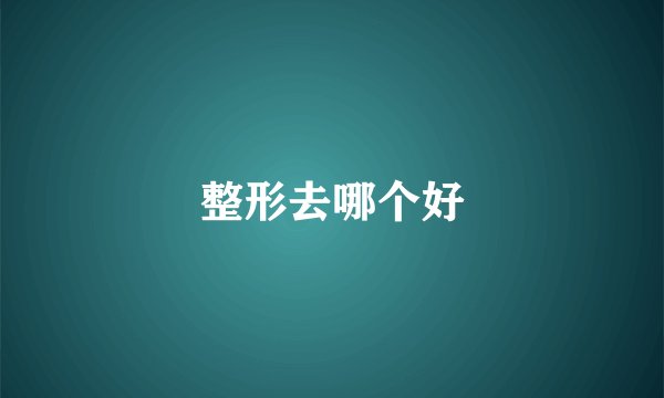 整形去哪个好