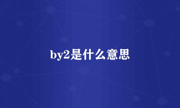 by2是什么意思