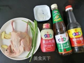 红烧鸽子