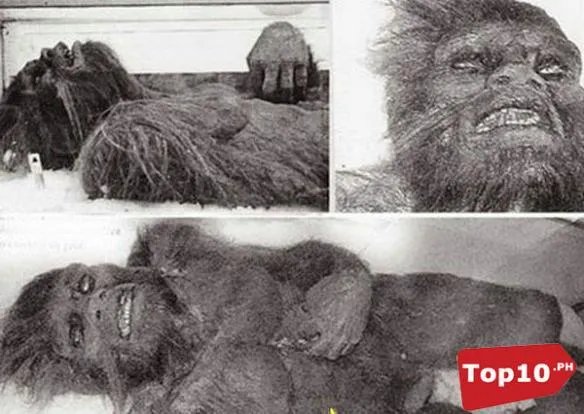 死亡之虫显真身！全球十大震惊世界的神秘怪兽