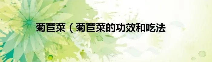 菊苣菜（菊苣菜的功效和吃法