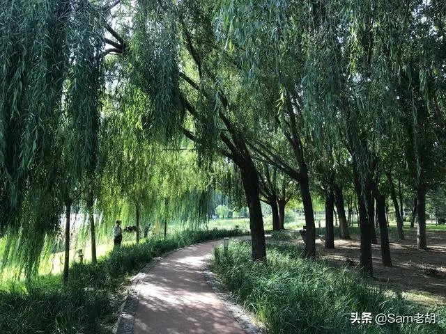 坐标沈阳,买了长白“富人区”房。真的成了富人吗?