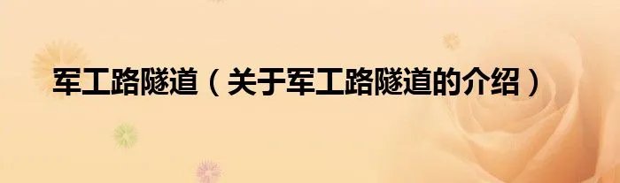 军工路隧道（关于军工路隧道的介绍）