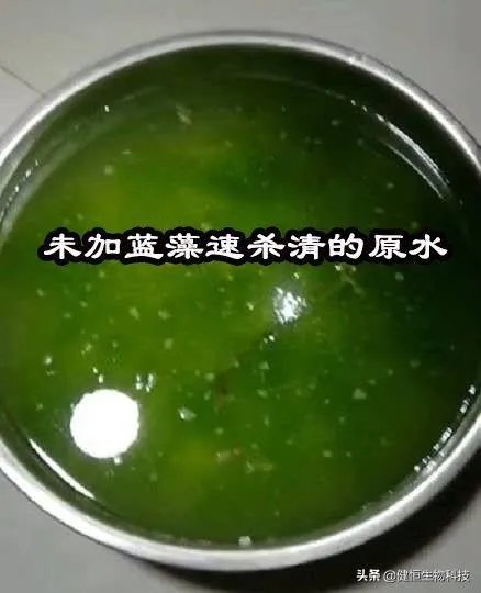 蓝藻爆发的治理措施有哪些?
