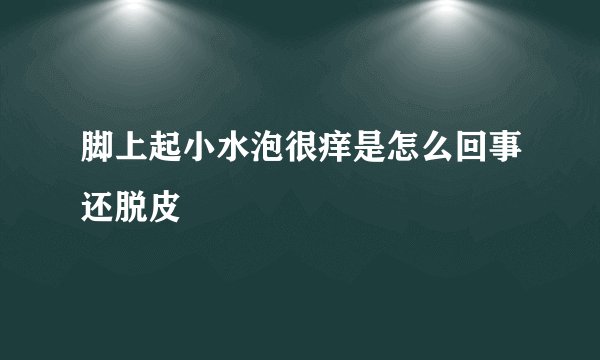 脚上起小水泡很痒是怎么回事还脱皮