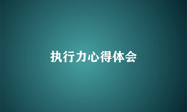 执行力心得体会
