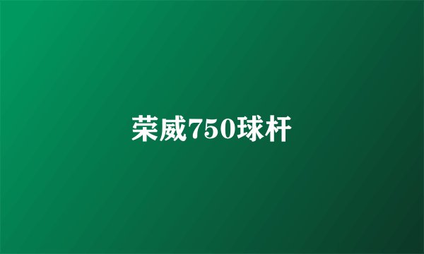 荣威750球杆