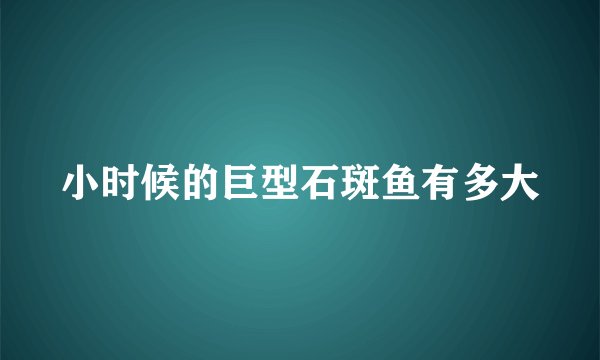 小时候的巨型石斑鱼有多大